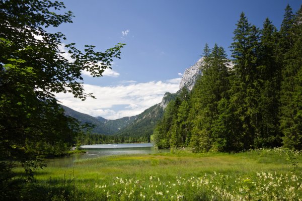 Очень красивый пейзаж