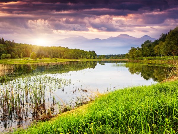 Прекрасная природа