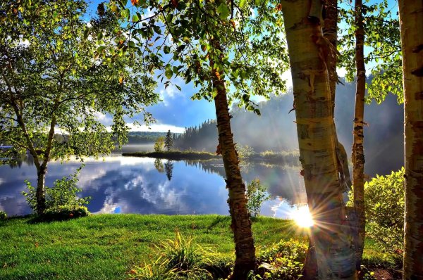 Пейзаж Живая природа