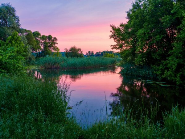 Озера Белгородской области