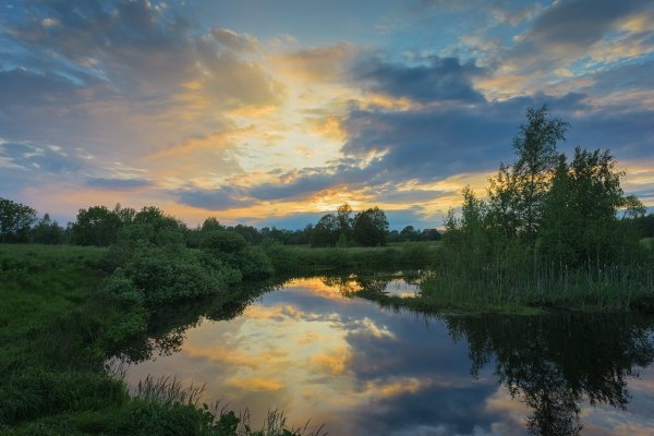 Тула пейзажи