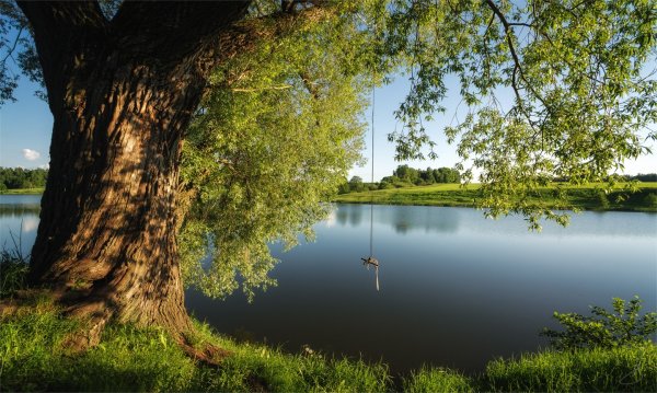 Природа тульского края