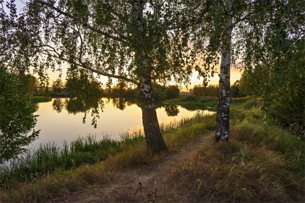 Природа Тульской Тульской области-