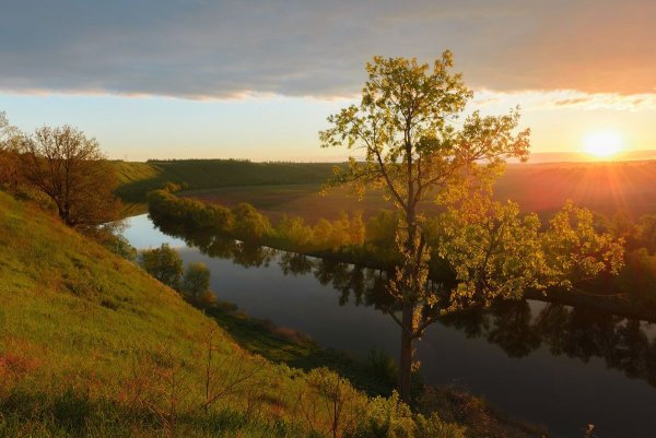Холмы в Тульской области