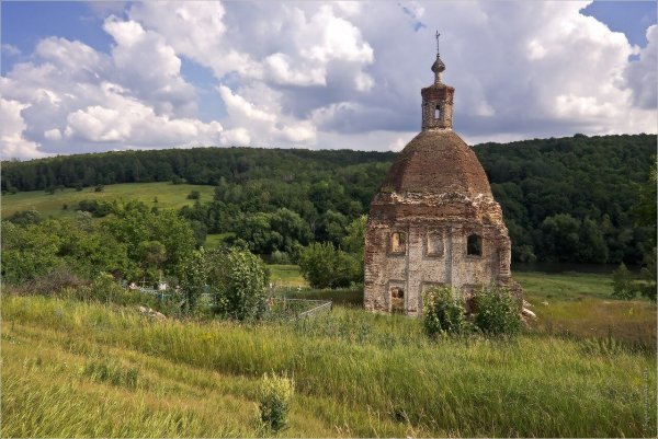 Природа Тулы и Тульской области