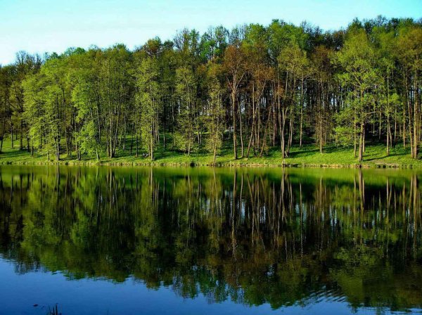 Холмы в Тульской области