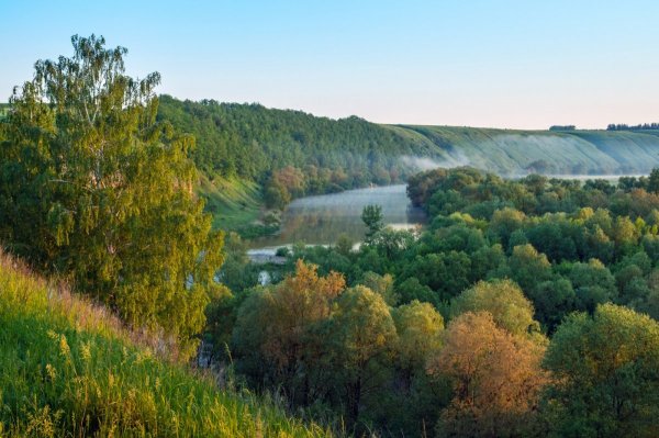 Красивая меча Тула