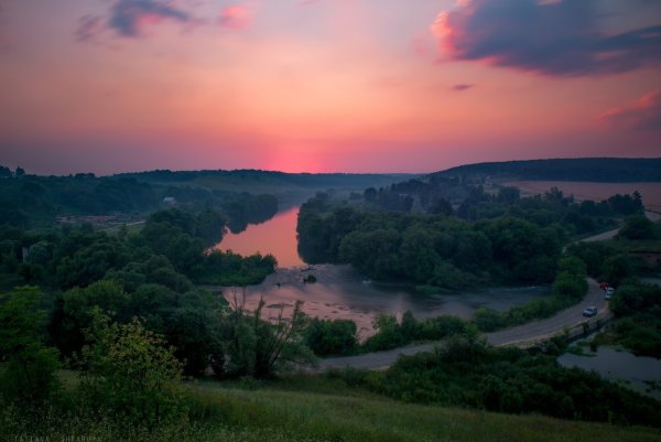 Леса черни Тульская область