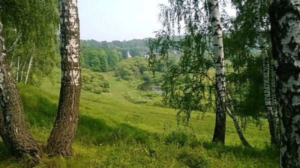 Просторы Тульской области