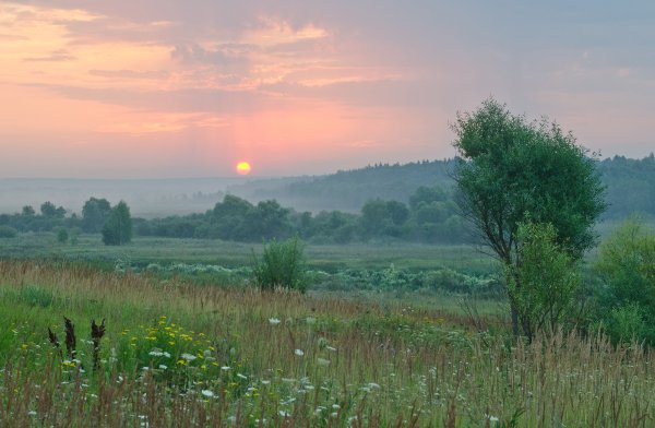Кондуки Тульская область