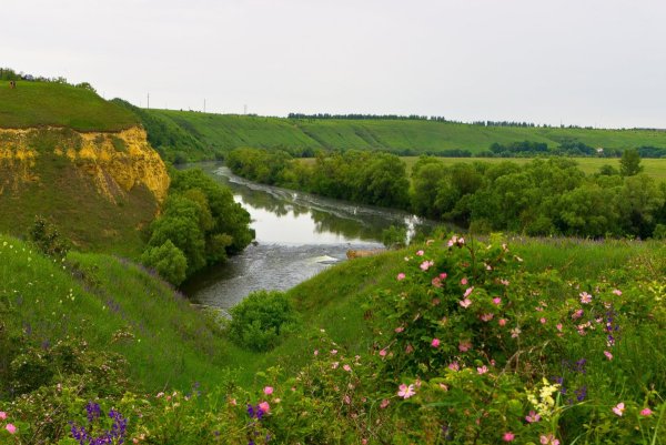 Рассвет Тула