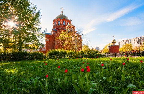 Природа города Тулы