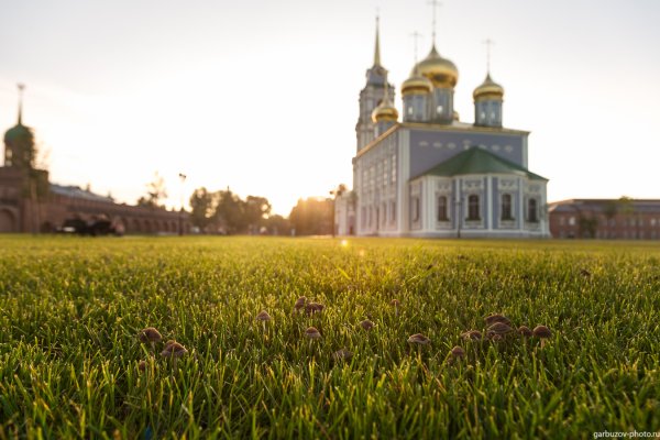 Тула Тульская область