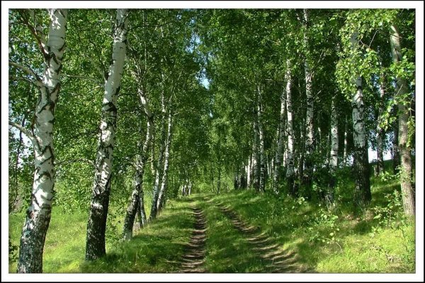 Тульский Кремль Гарбузов