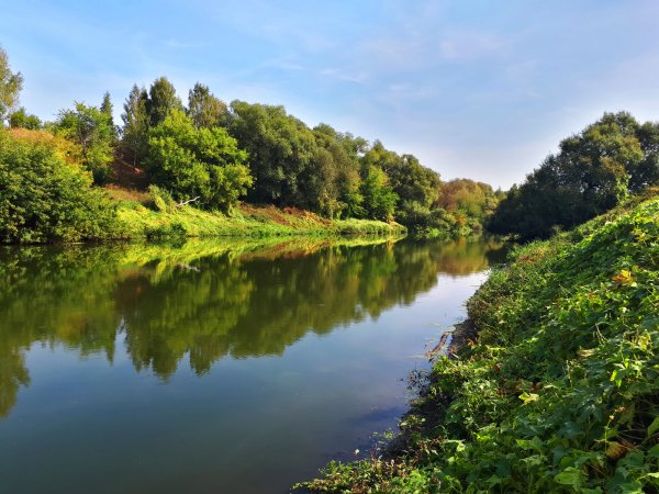 Река красивая меча Ишутинское Городище