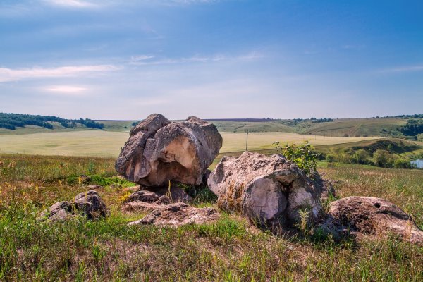 Красивая природа в Туле