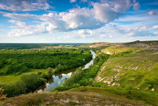 Село Закотное Донецкая область