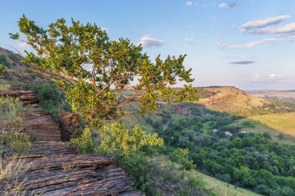 Провальская степь Королевские скалы