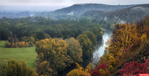 Природа Луганской области