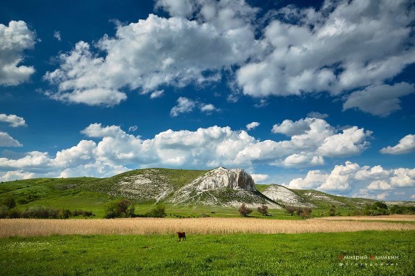 Белокузьминовка меловые горы