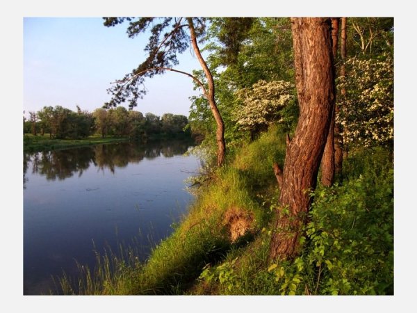 Изображения природы в Луганске