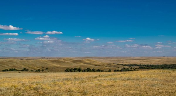 Провальская степь заповедник