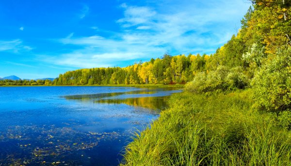 Красивые пейзажи природы