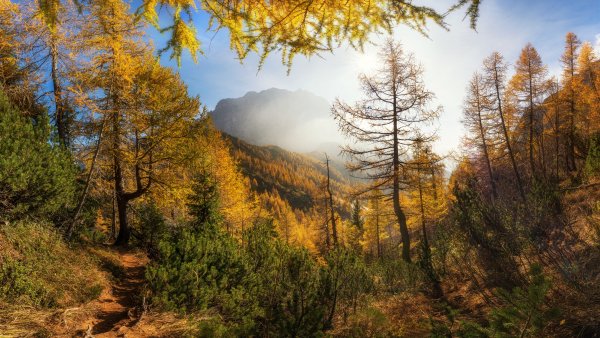 Пейзажи 3д красивые