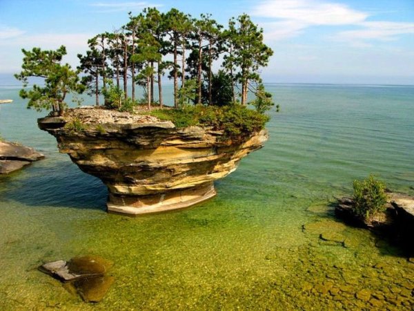 Река в лесу