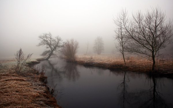 Серая осень