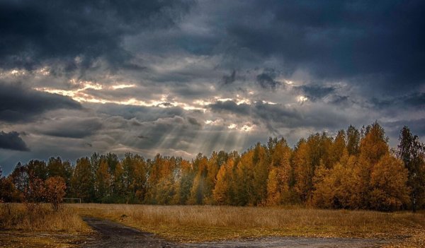 Хмурое осеннее небо