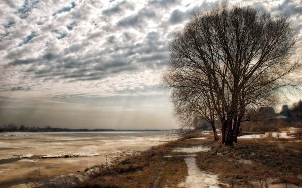 Унылая природа