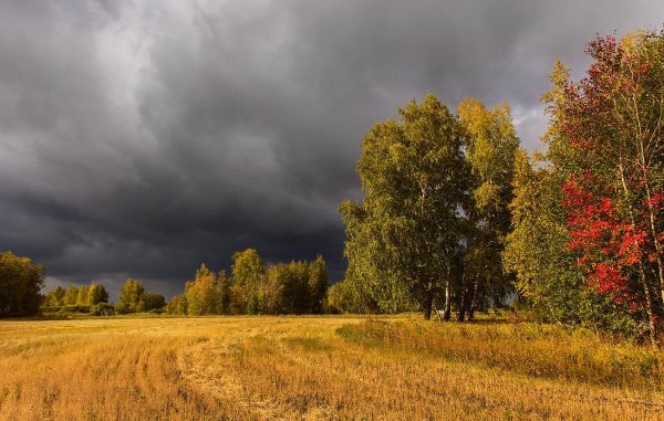 Хмурая осень