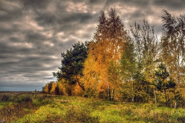 Хмурое осеннее небо