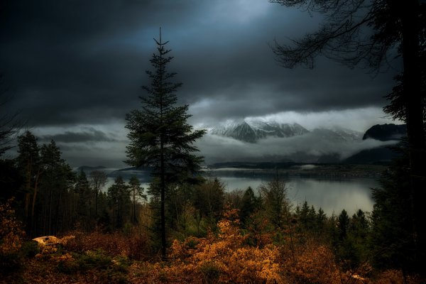 Сумерки природа