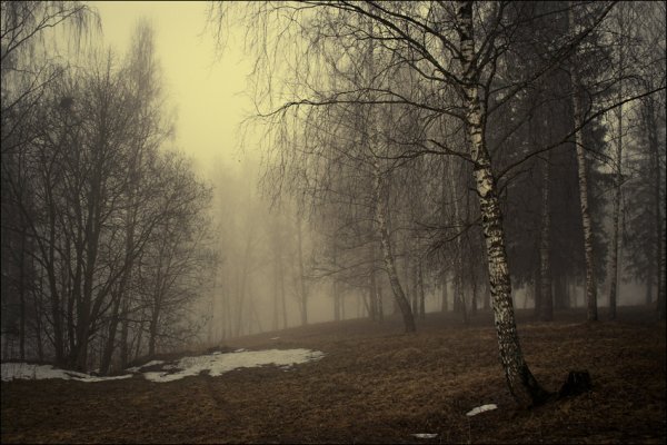 Туман ранней весной