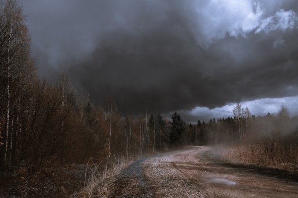 Пасмурная осень