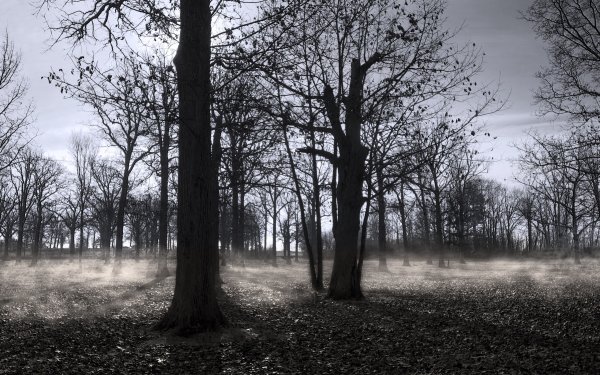 Серая осень