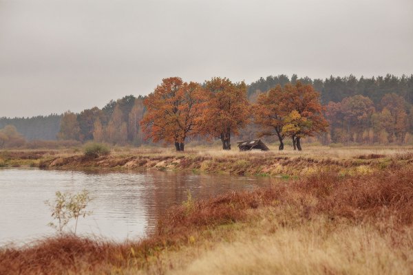 Пасмурная осень