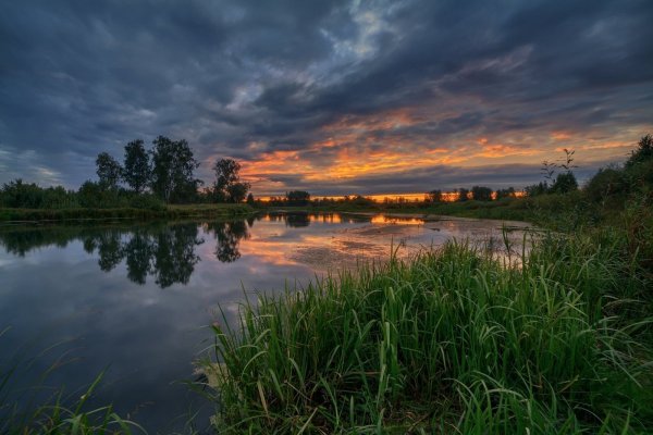 Природа Миасса Челябинской области