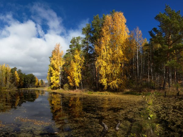Челябинская область осень