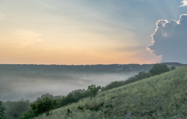 Картинна степь Донбасса