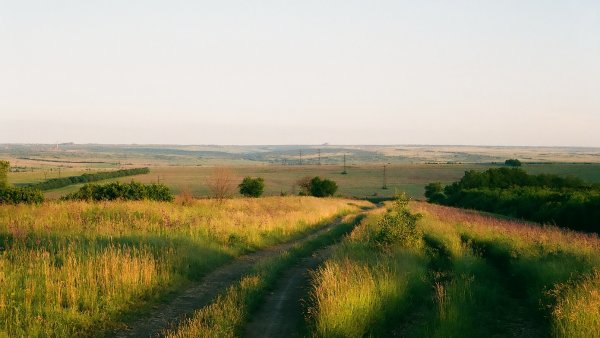 Донбасс природа степи