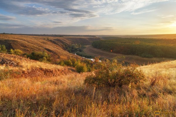Степи Донецкой области