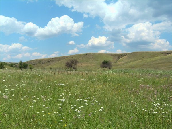 Долина каменных лиц Перевальский район