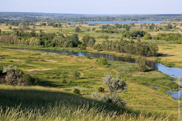 Провальский заповедник Луганщины город Свердловка