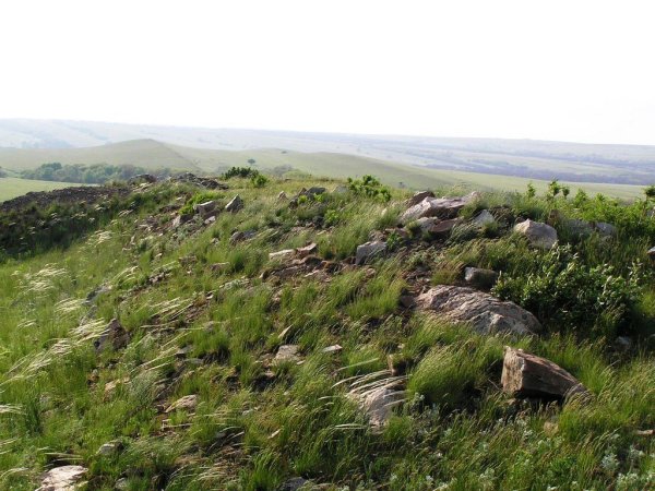 Луганский заповедник Трехизбенская степь