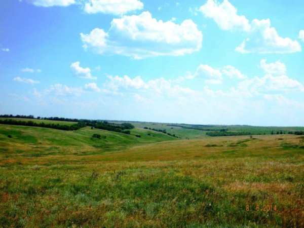 Степи Луганской области
