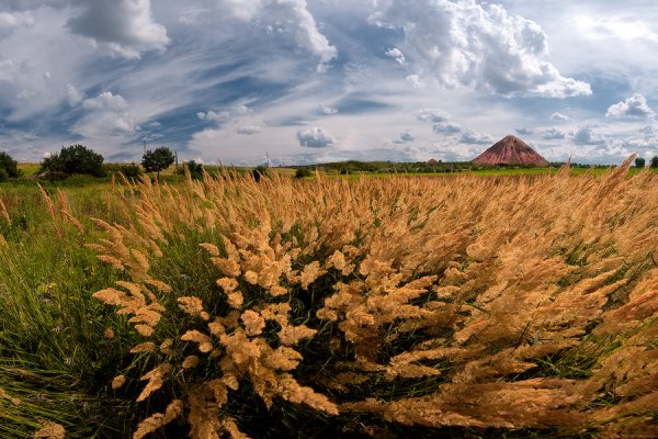 Природа Донбасса