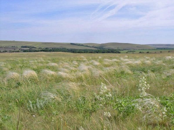 Провальская степь Донбасс